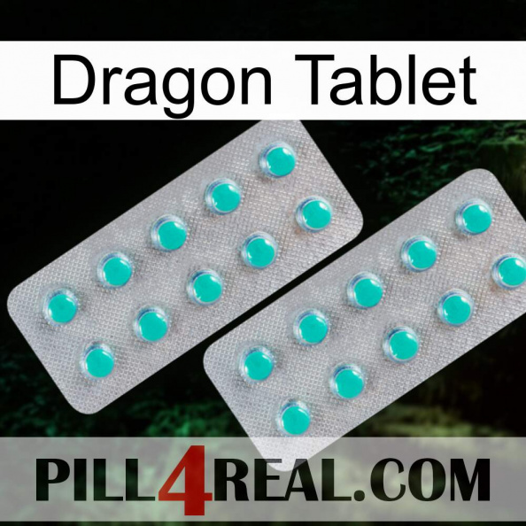 Dragon Tablet 29.jpg